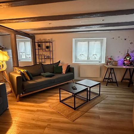 Le Nid Cosy D'Obernai /2Min Centre Ville/Parking Dış mekan fotoğraf