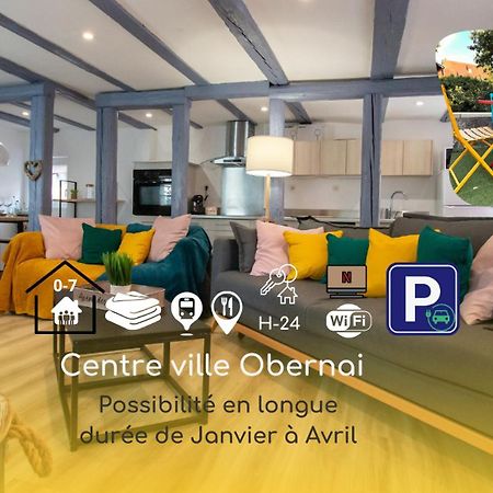 Le Nid Cosy D'Obernai /2Min Centre Ville/Parking Dış mekan fotoğraf