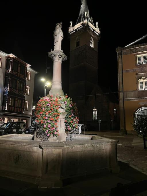 Le Nid Cosy D'Obernai /2Min Centre Ville/Parking Dış mekan fotoğraf