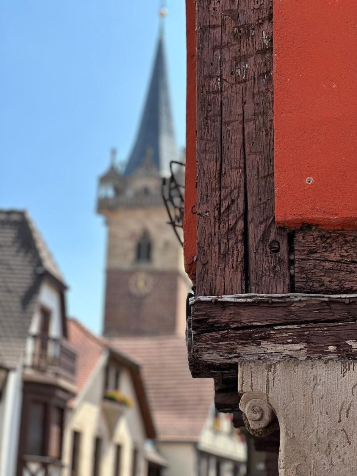 Le Nid Cosy D'Obernai /2Min Centre Ville/Parking Dış mekan fotoğraf