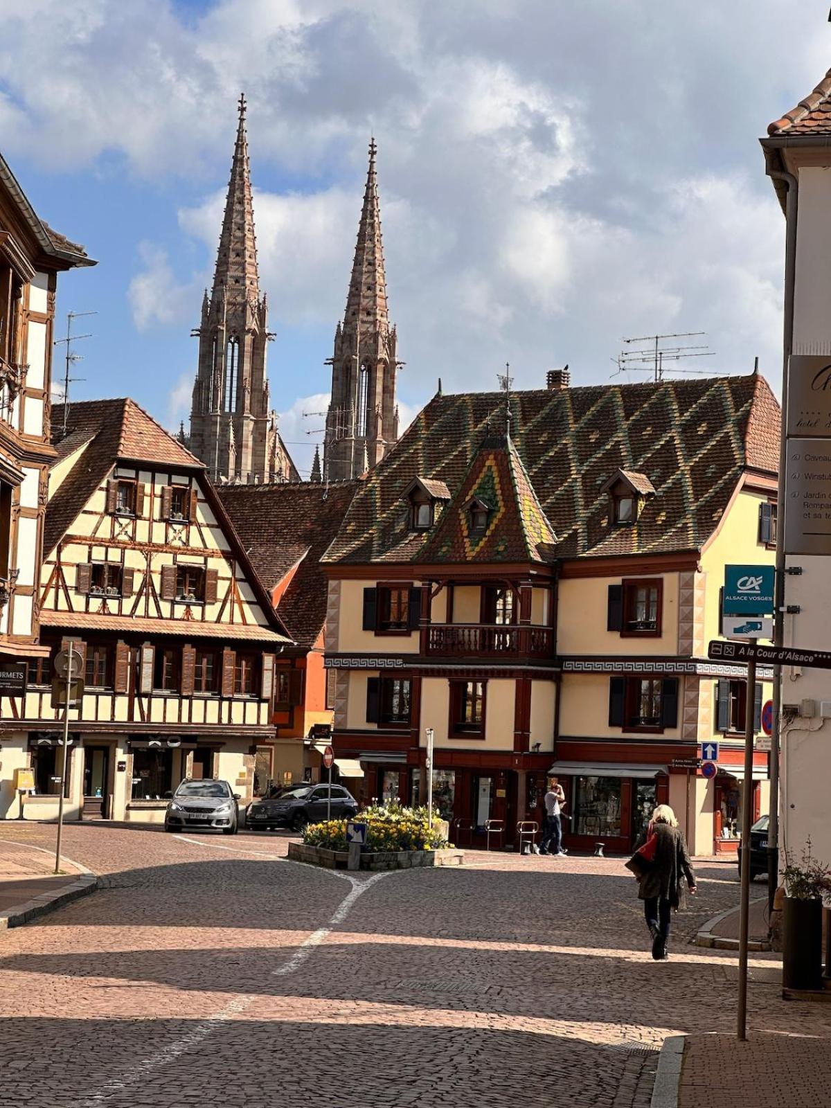 Le Nid Cosy D'Obernai /2Min Centre Ville/Parking Dış mekan fotoğraf