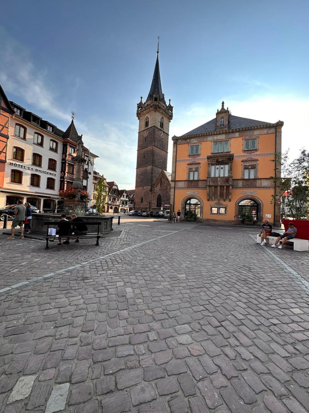 Le Nid Cosy D'Obernai /2Min Centre Ville/Parking Dış mekan fotoğraf