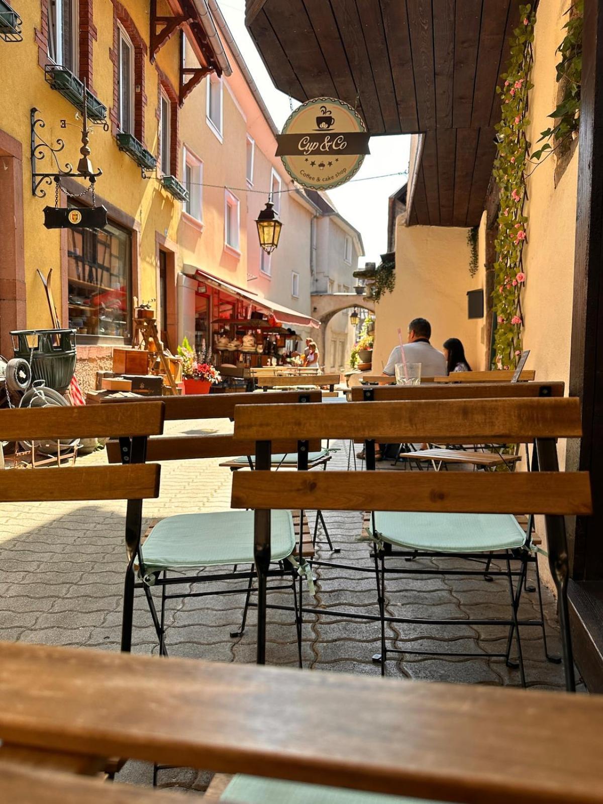 Le Nid Cosy D'Obernai /2Min Centre Ville/Parking Dış mekan fotoğraf