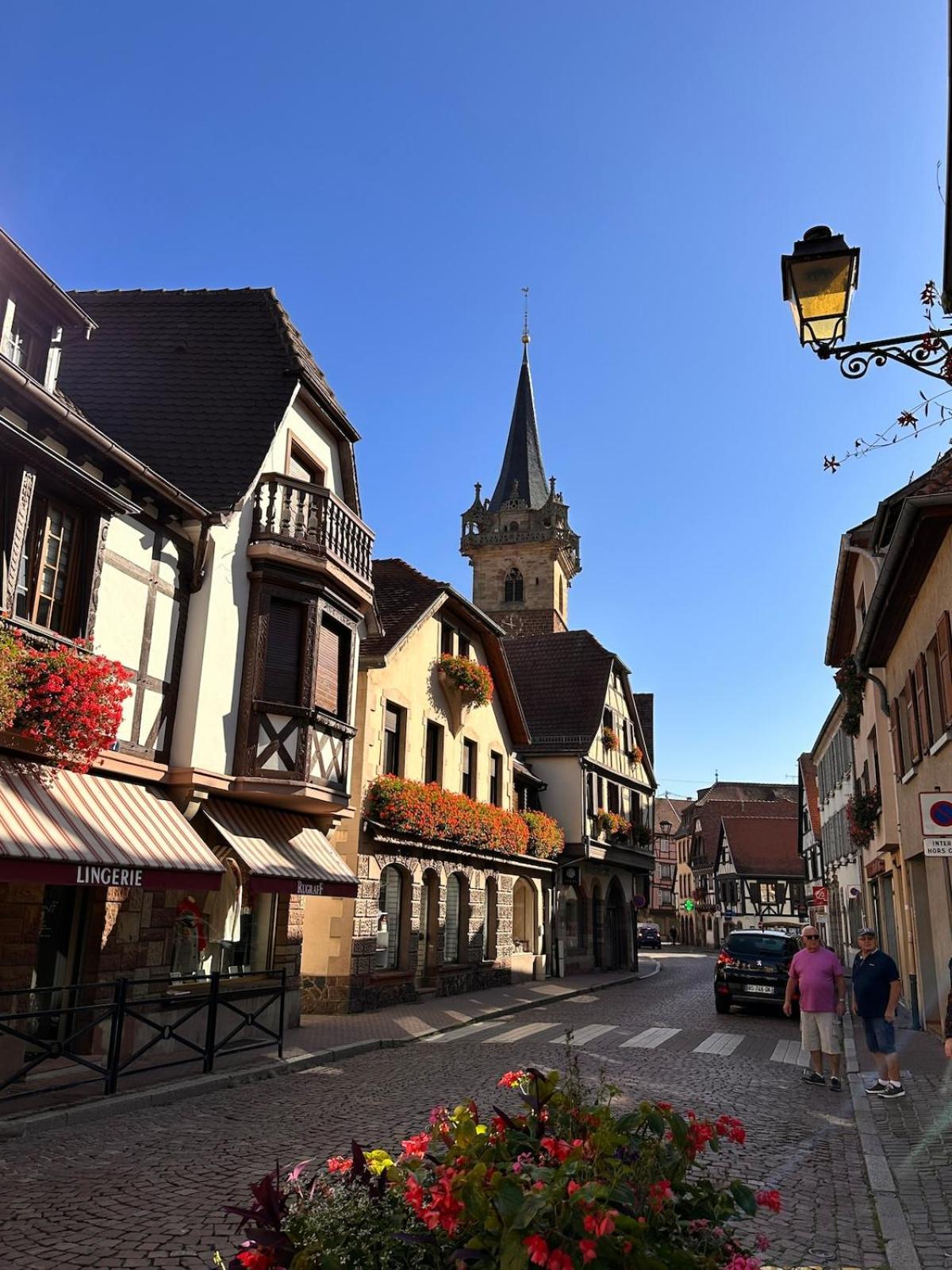 Le Nid Cosy D'Obernai /2Min Centre Ville/Parking Dış mekan fotoğraf