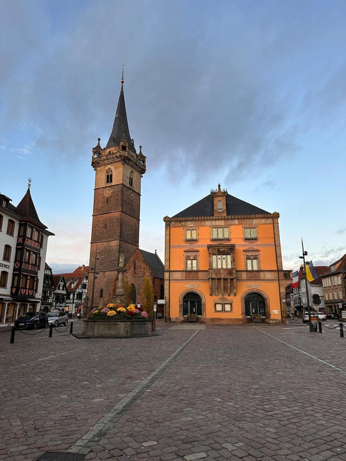 Le Nid Cosy D'Obernai /2Min Centre Ville/Parking Dış mekan fotoğraf