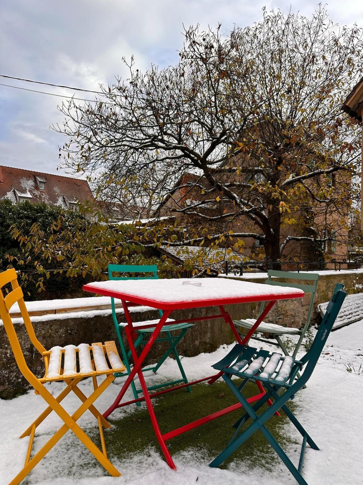 Le Nid Cosy D'Obernai /2Min Centre Ville/Parking Dış mekan fotoğraf